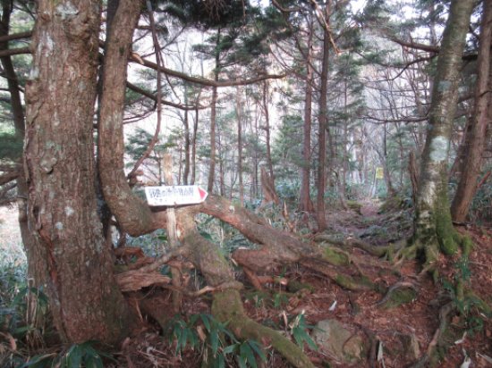 野熊ノ池避難小屋